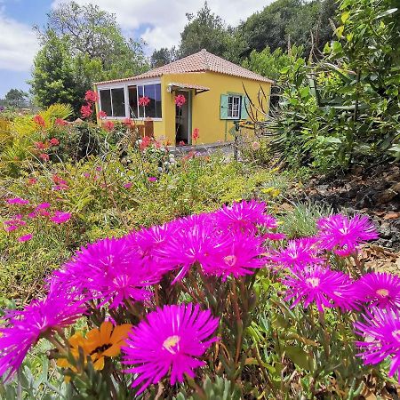 Irana Del Bosque Apartamento Breña Baja Exterior foto