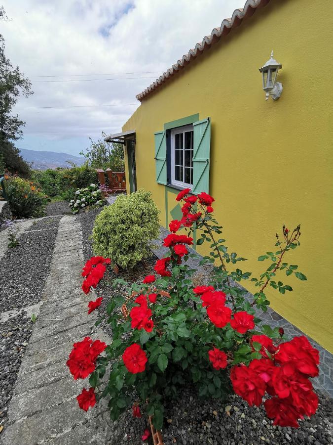 Irana Del Bosque Apartamento Breña Baja Exterior foto
